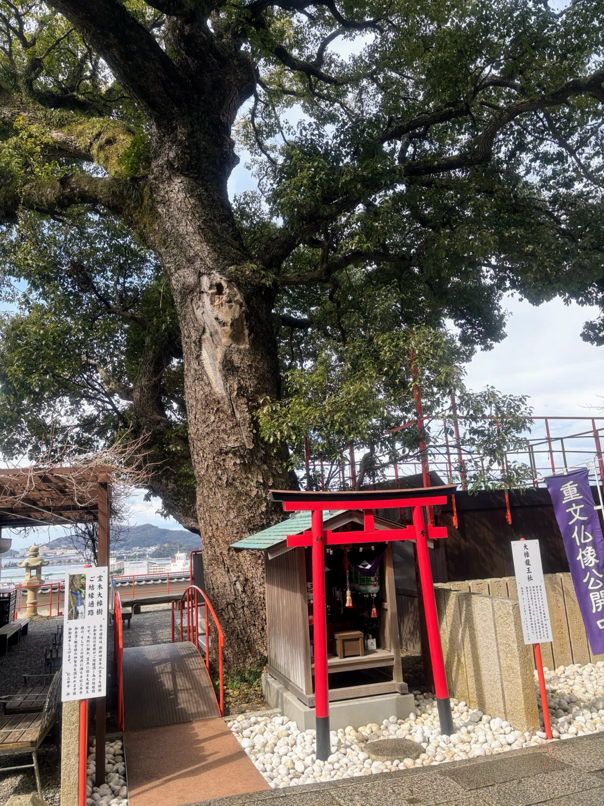 Travel Diary] Wakayama Edition - Kimiidera Temple - 2025.2.24｜stjarna