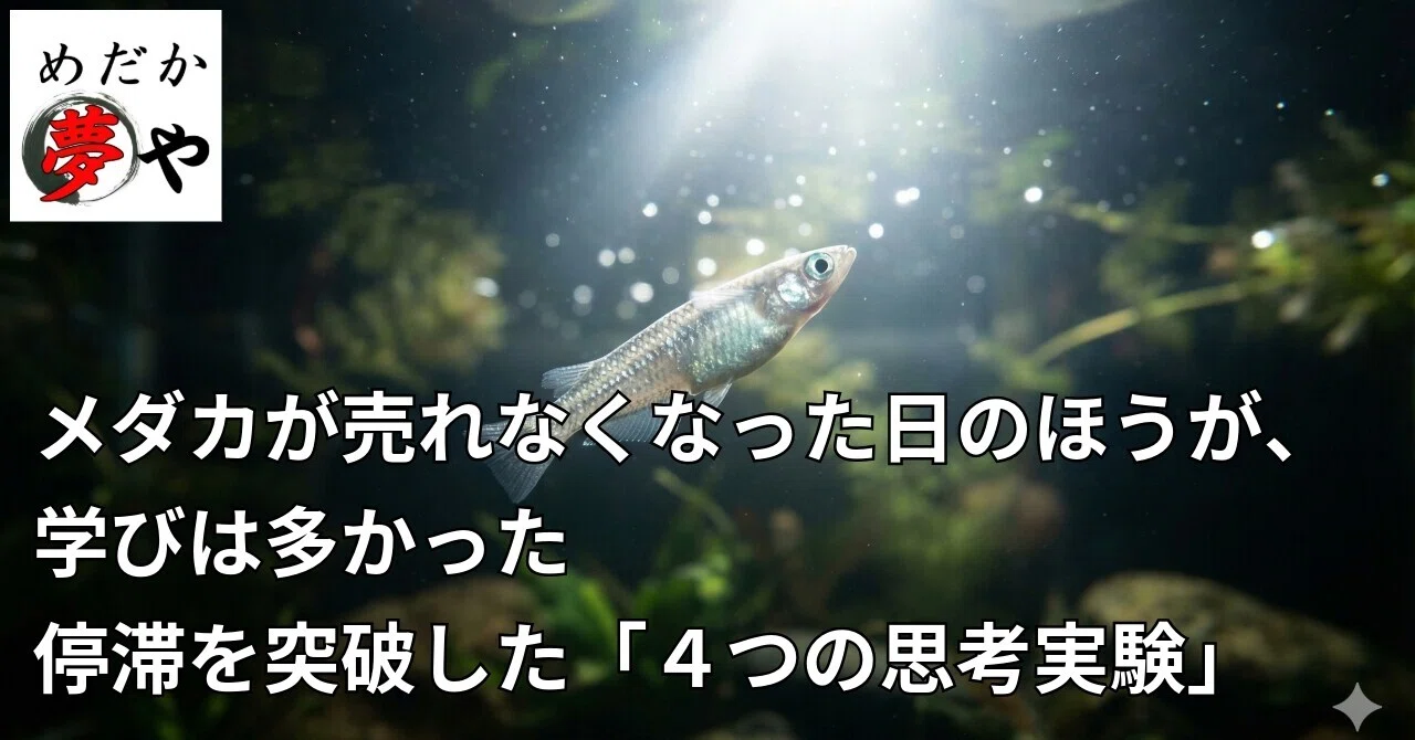メダカが売れなくなった日のほうが、学びは多かった｜停滞を突破した 