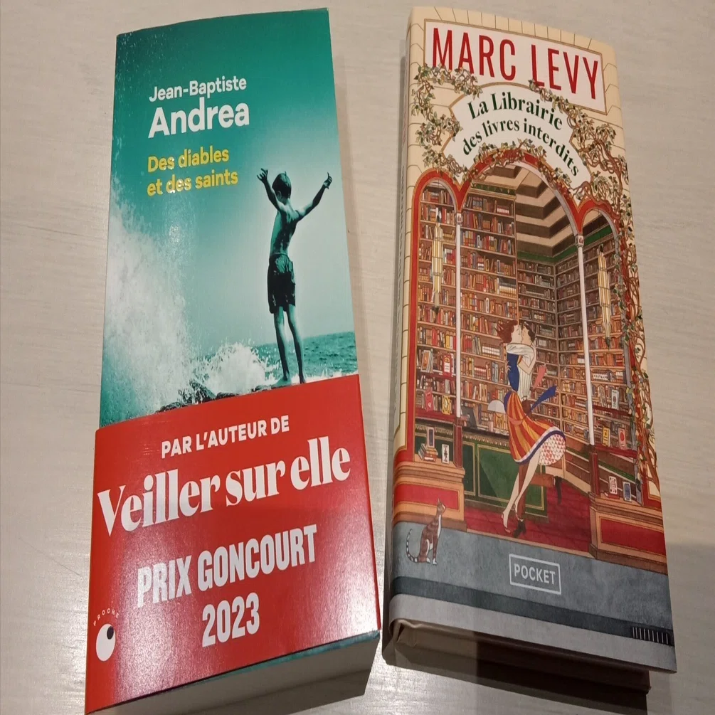 久しぶりの読書。フランス語の本2冊｜あかりのフランス🇫🇷日常生活