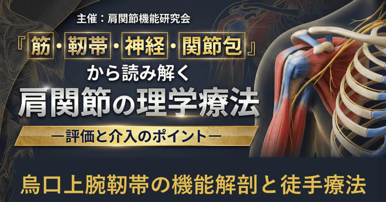 烏口上腕靭帯の機能解剖と徒手療法｜肩関節機能研究会 郷間
