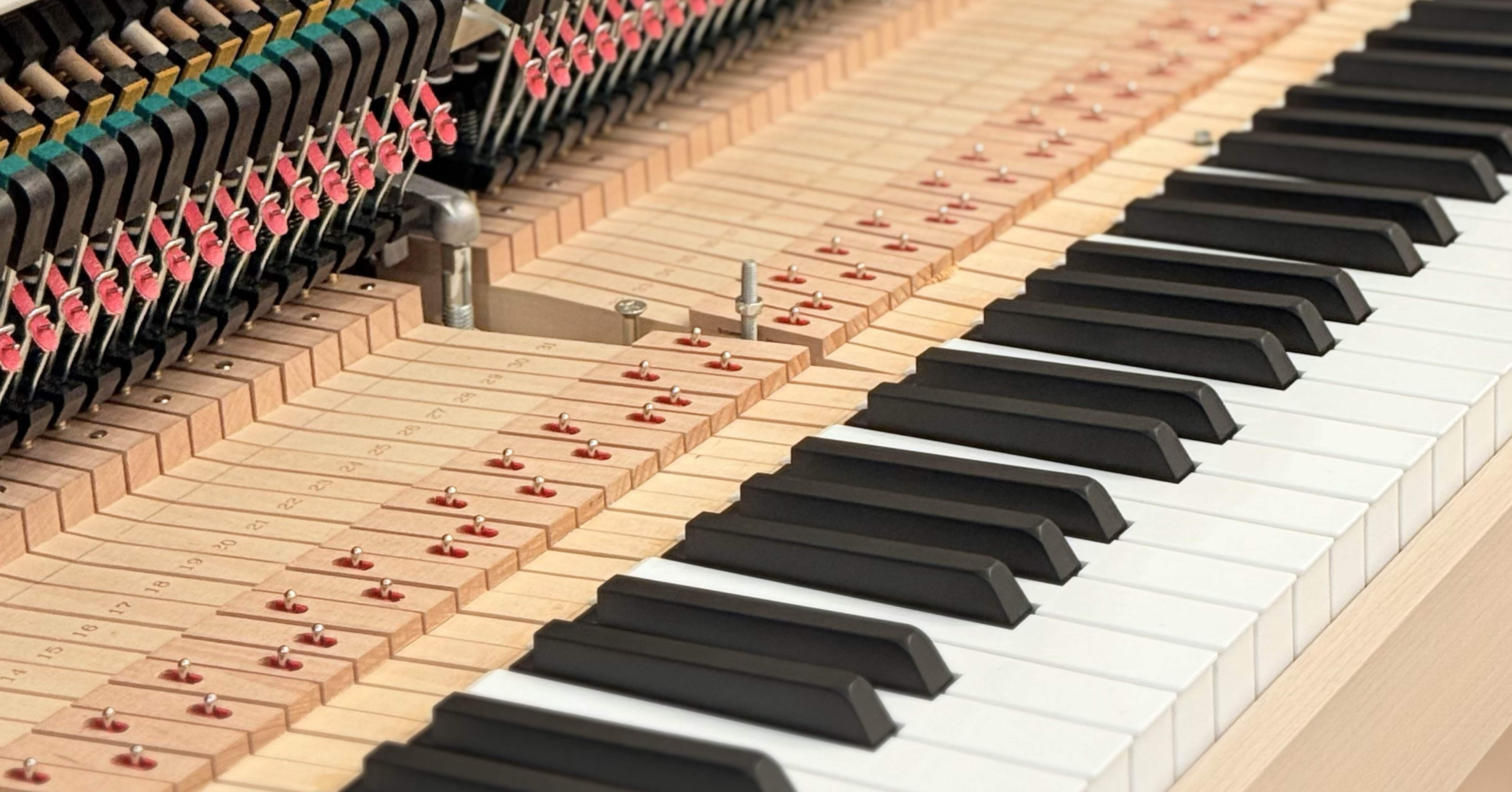 記念すべき初調律！ イケメン調律師さんが見せてくれた