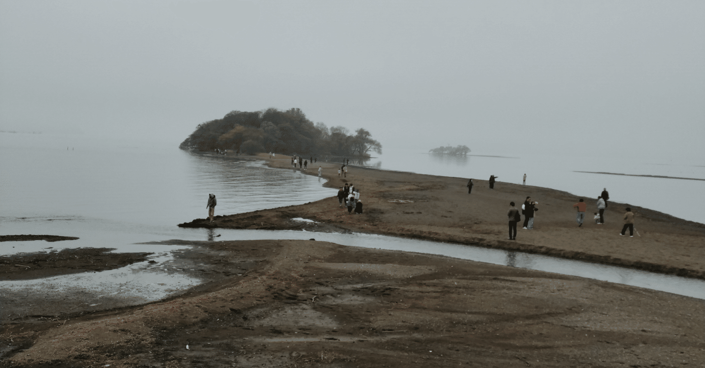 今年は雨が少なかった｜Take