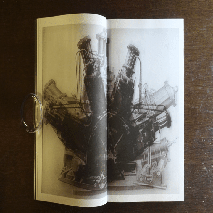 Batia Suter – La Nonpareille / The Incomparable｜IDEABOOKS JAPAN