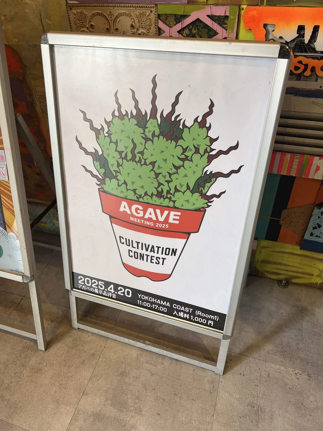 2025年アガベ関連イベント記録｜mare_agave