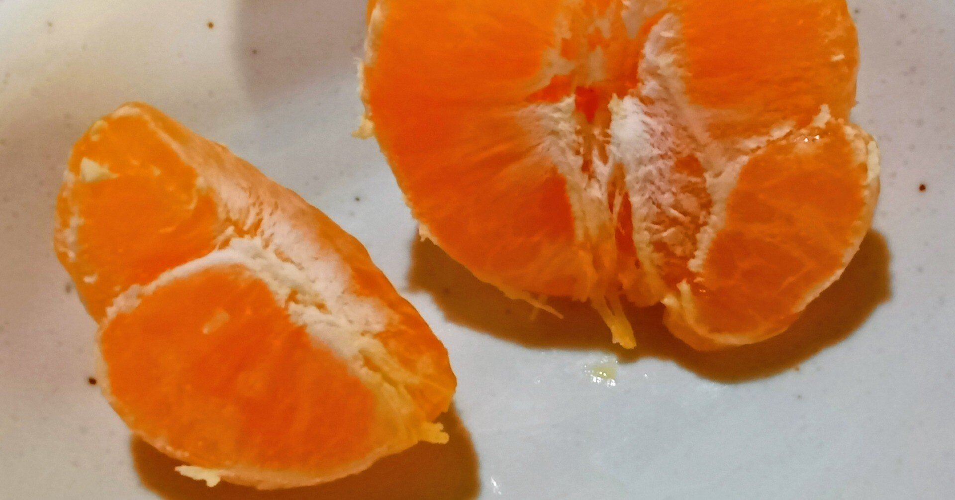 親子みかんって、ホントにかわいい♡｜せたがや作文教室公式note