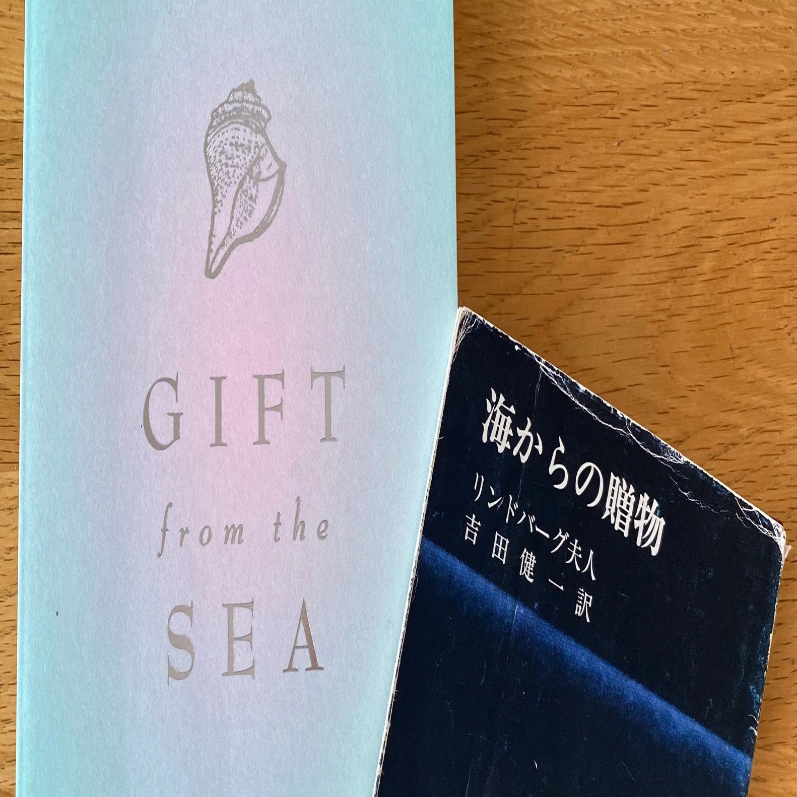 ブックカバーチャレンジ七日目「海からの贈物〜Gift from the SEA