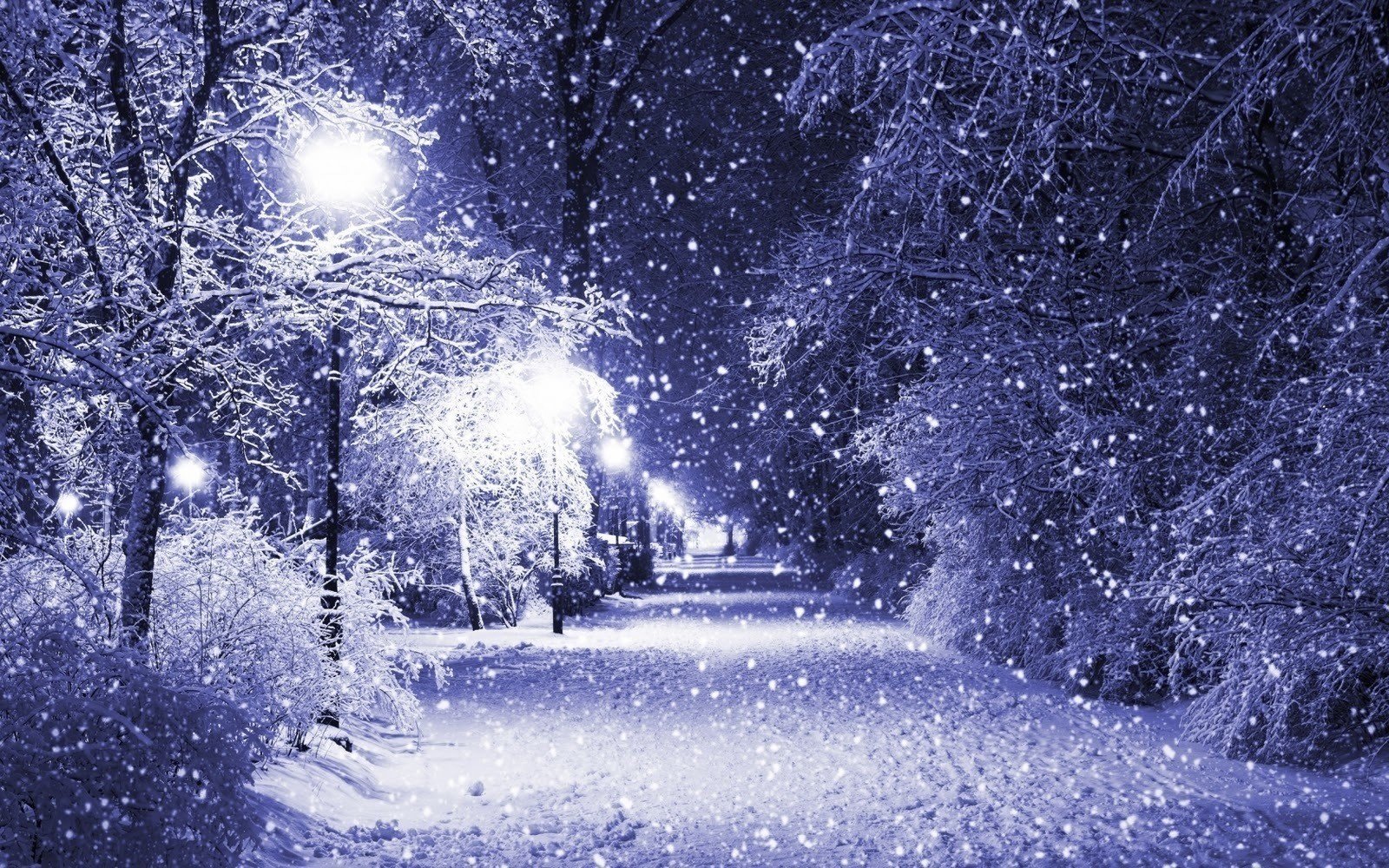 雪と空想 の新着タグ記事一覧 Note つくる つながる とどける