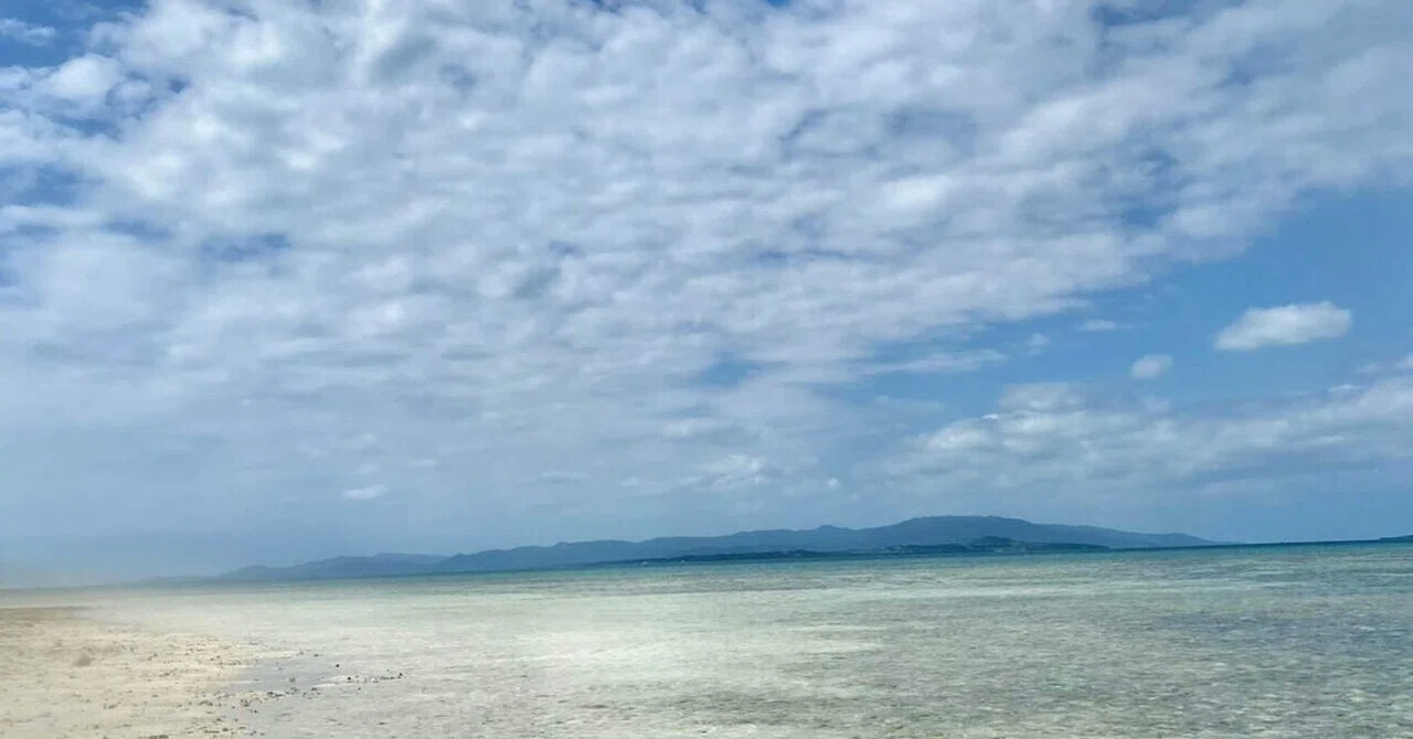 The day I could breathe by the sea, while holding onto fragments of the ...