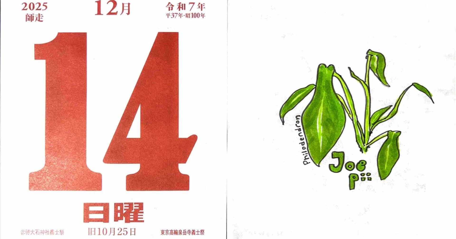 80鉢の冬越し｜我が家の観葉植物ニュース｜himekuri365