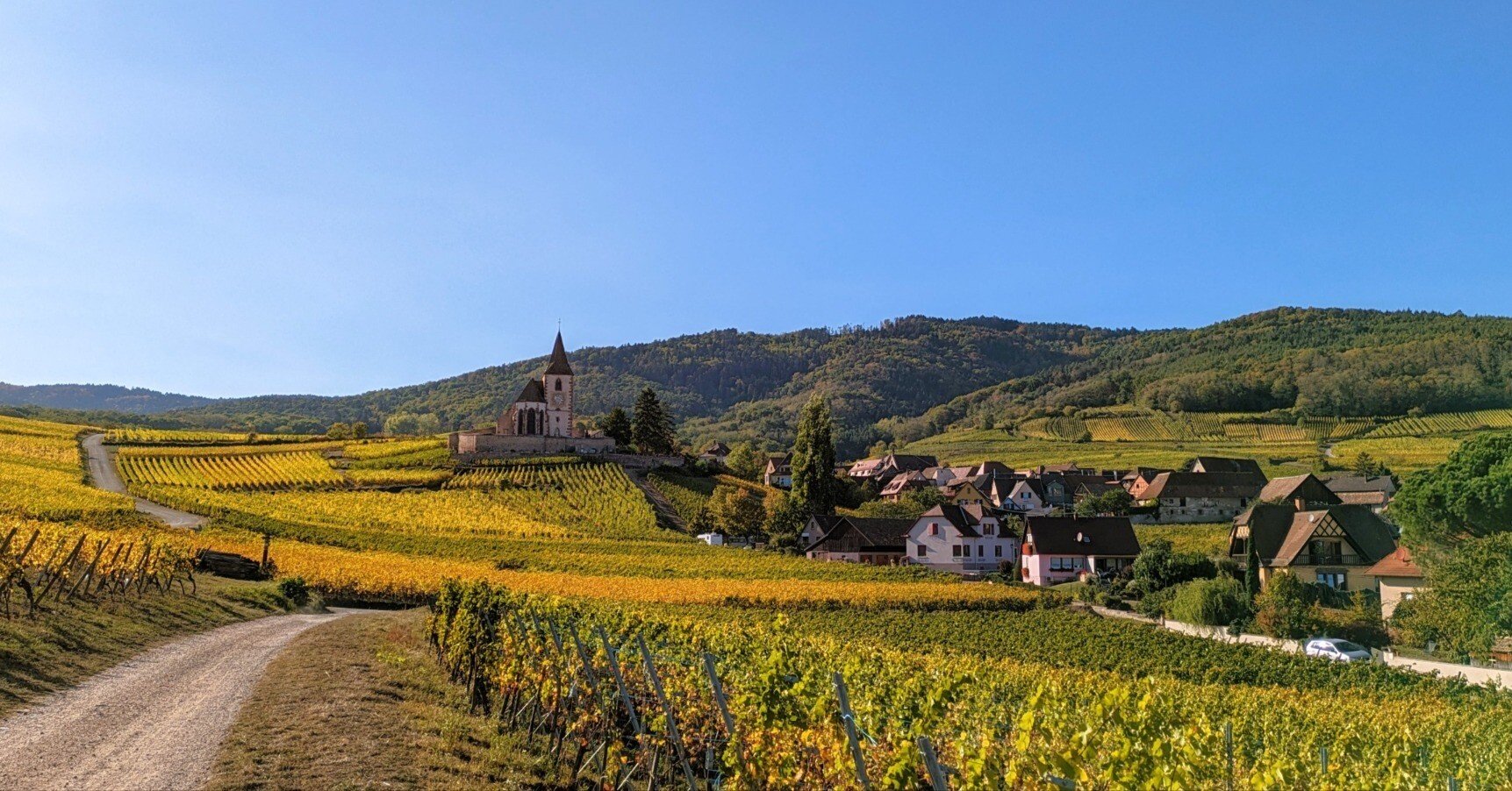 アルザス地方｜かまだ ゆたか