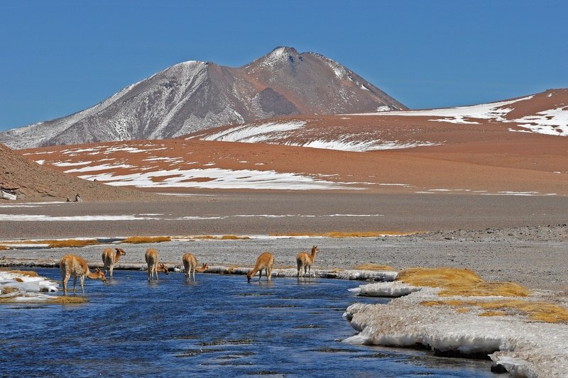 地理 寒帯 亜寒帯 高山の人はどんな暮らしをしているの ポチャstudy Note