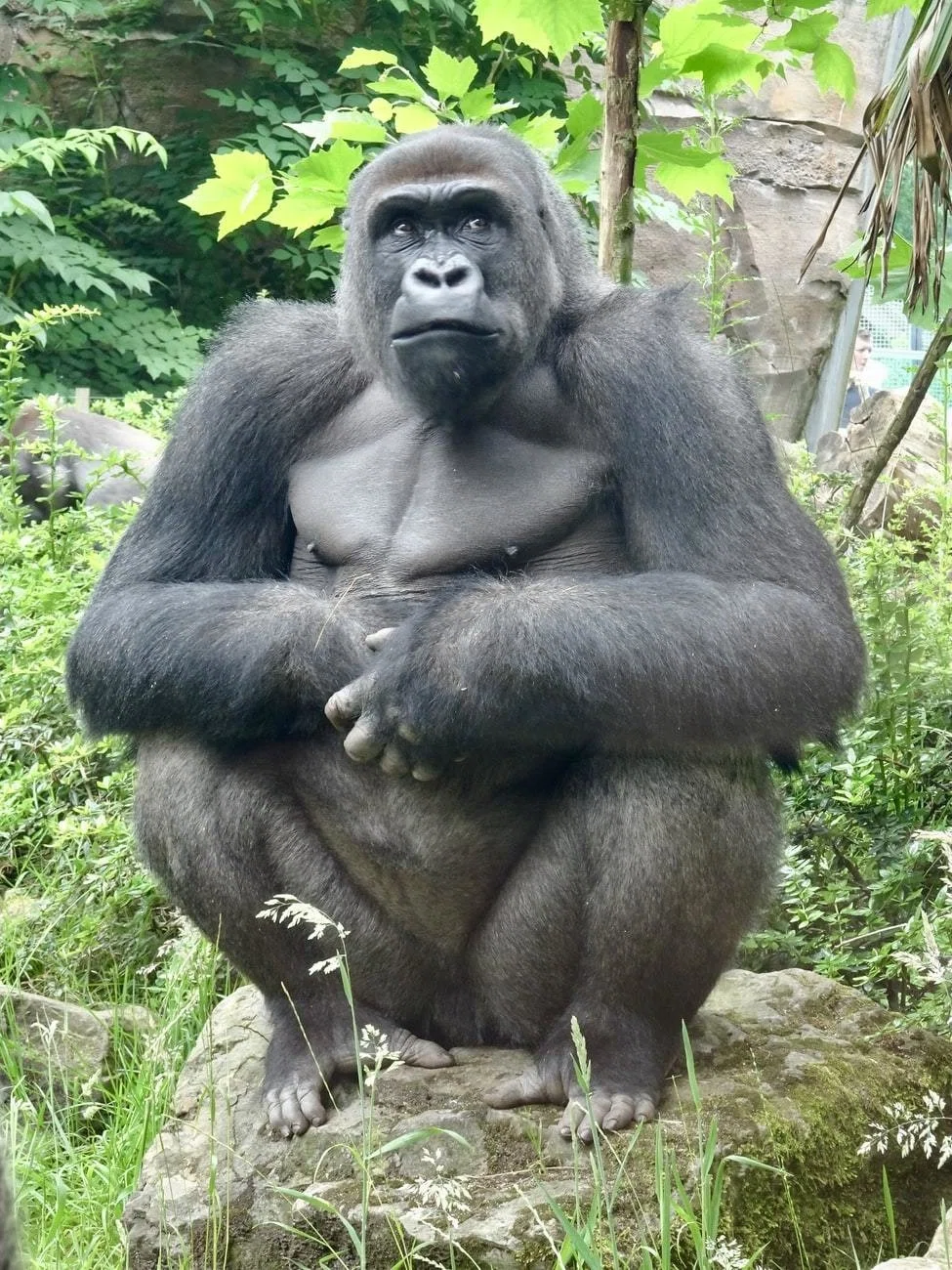 画像6