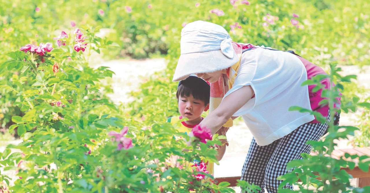 アルデバランがめざすsdgs時代のソーシャルコスメティクスは地域発 地域に還元 Beautytech Jp