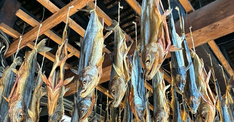 絶品！究極の鮭！もう他の鮭が食べられない【新潟・佐渡島視察旅行】