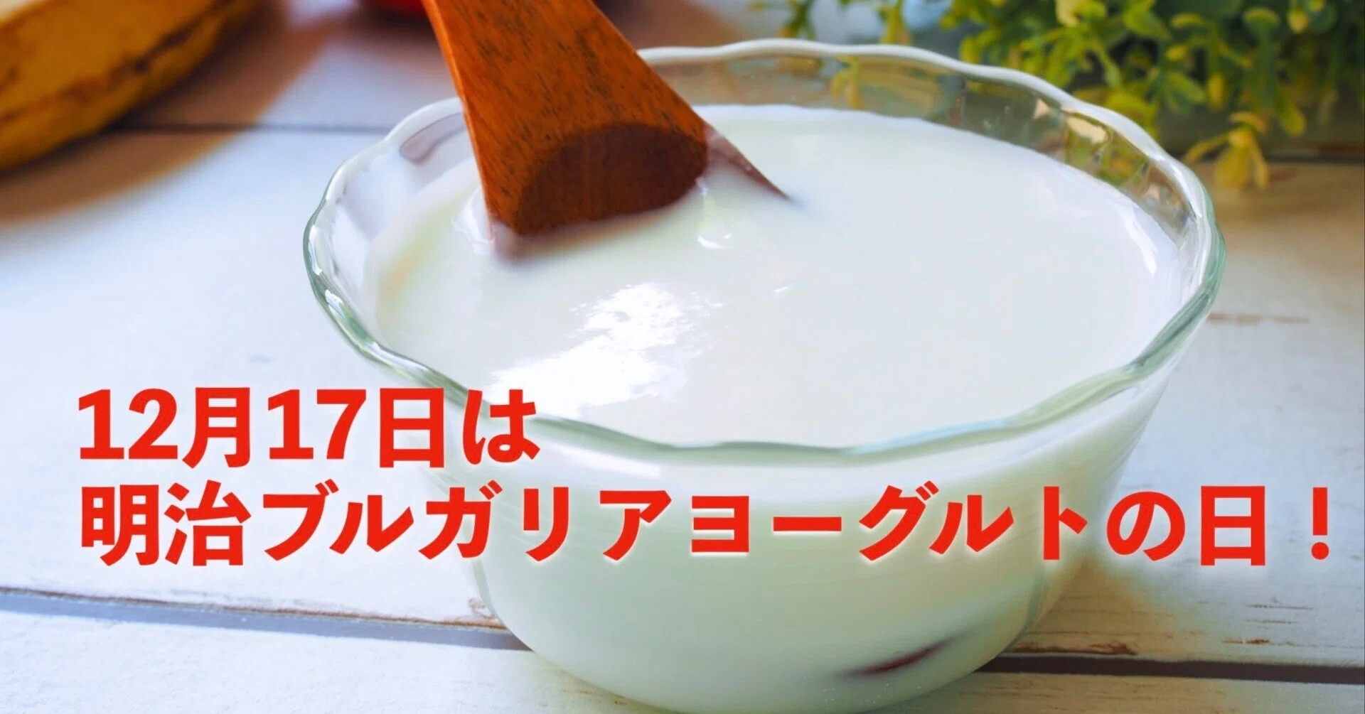 ブルガリア ヨーグルト なぜ
