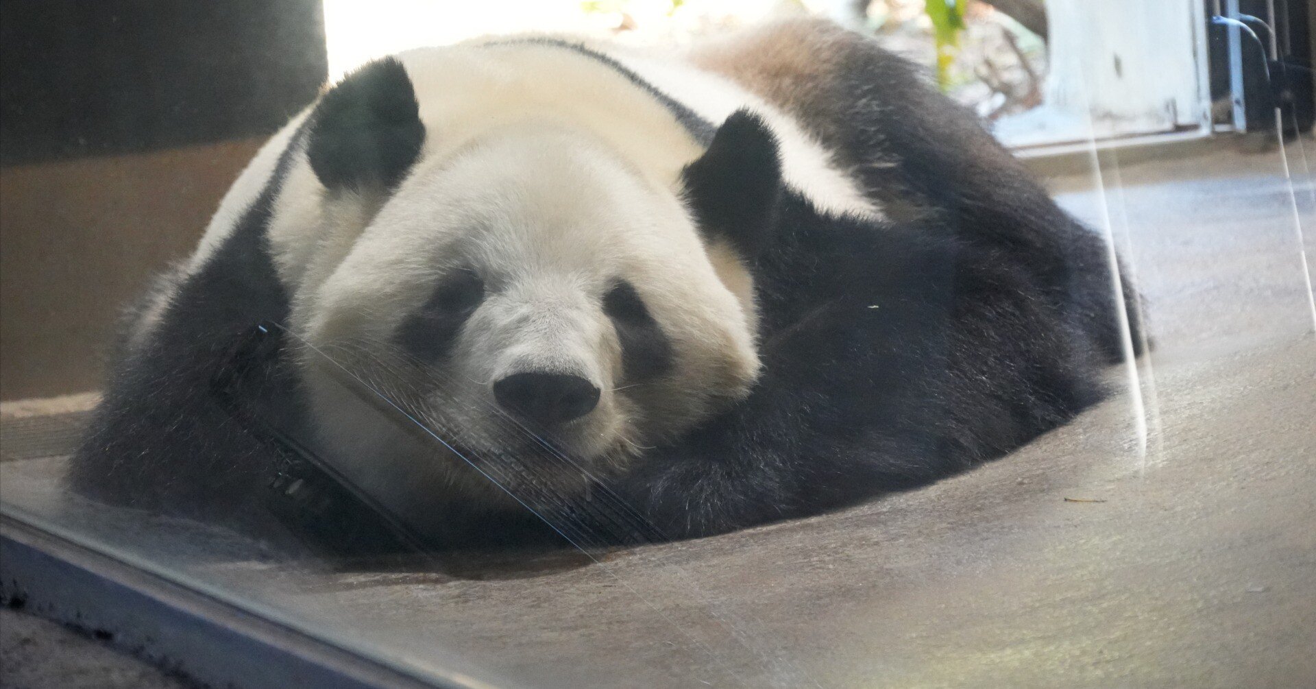 fd912f09f5295aba90e5a7143e1245