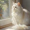 怠け猫、生存能力を実装中。