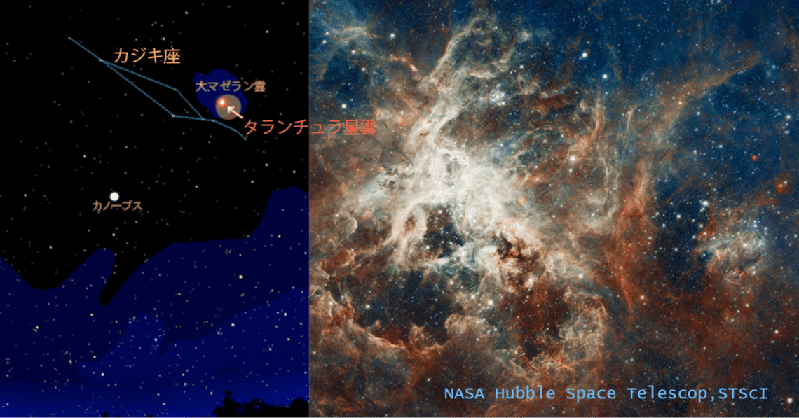 巨大 タランチュラ星雲 ベタ 最後の砦 Note 巨大 タランチュラ星雲 ベタ 最後の砦 Note