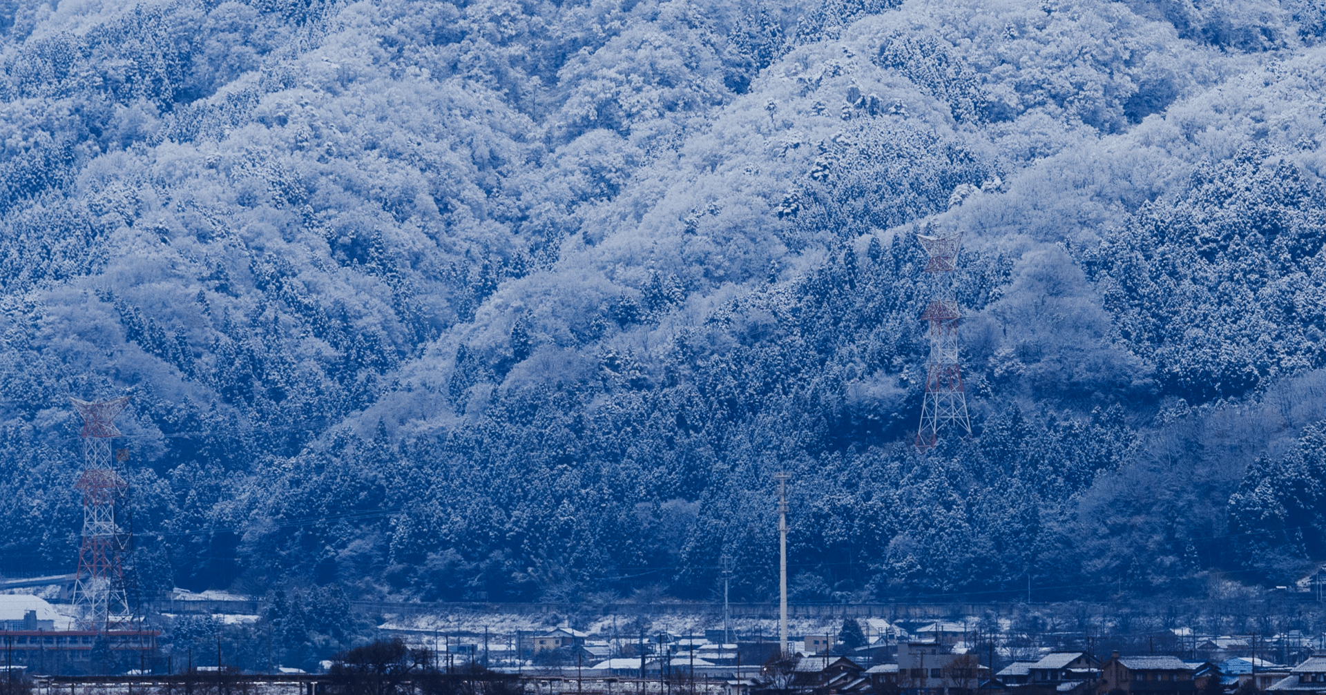 穏やかな冬の景色が和みますお祝い事とかの記念にいかがですか？ 色あざやかな秋からモノトーンな冬｜カシャっと