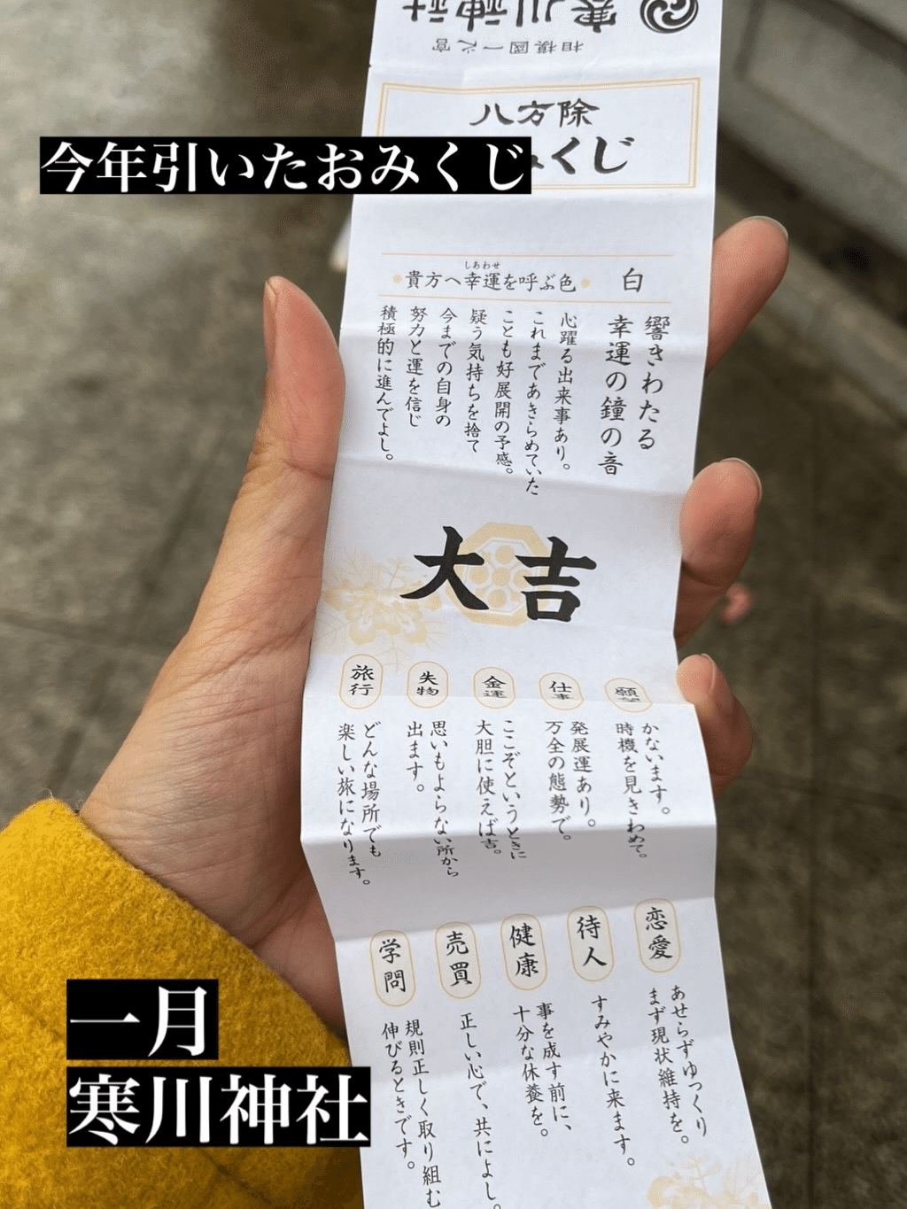 🥠おみくじチャレンジ🥠｜ゆずる