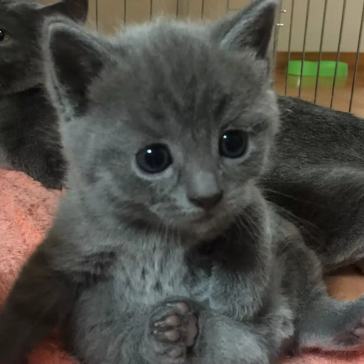 パンパン