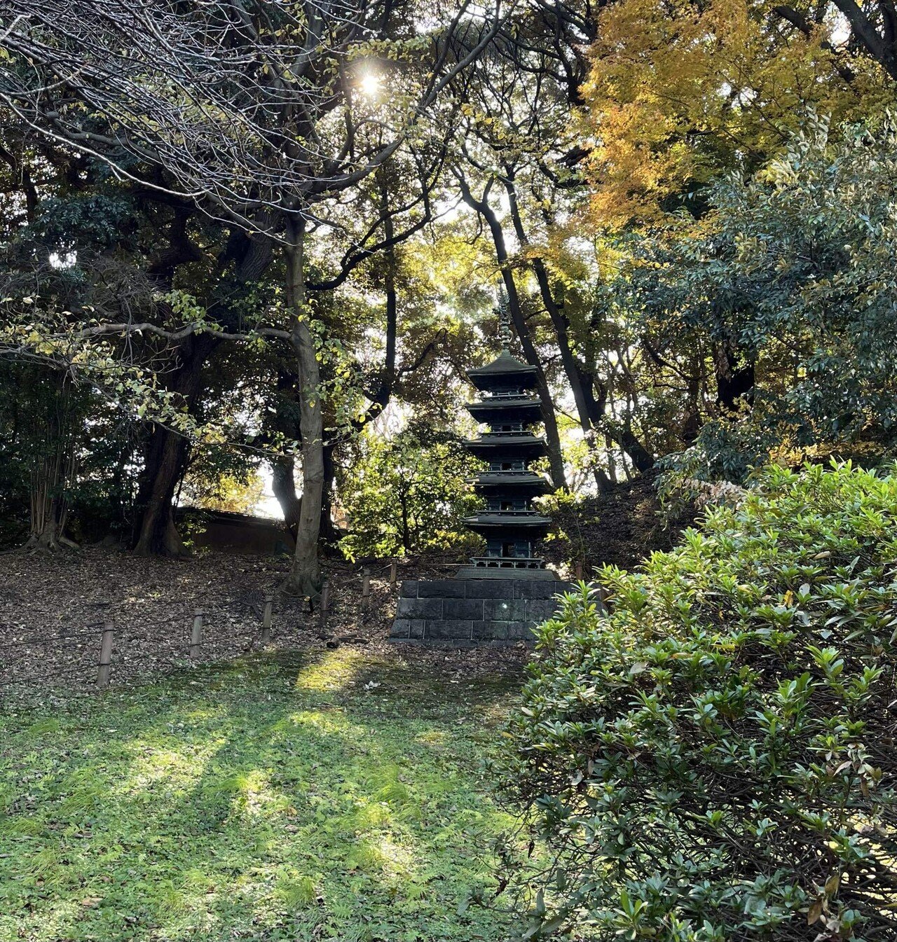 阿修羅に会いに｜カンナ