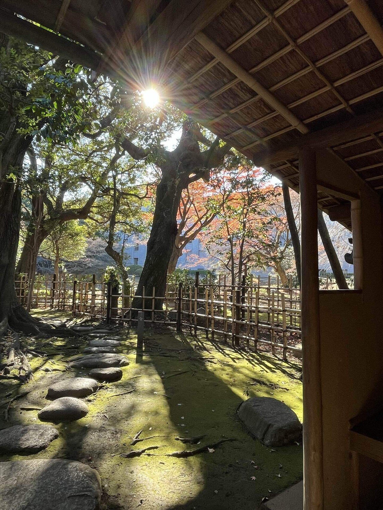 阿修羅に会いに｜カンナ