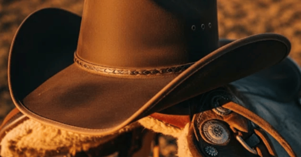 野良猫ロック 暴走集団71』（1971）映画紹介――日活ニューアクション