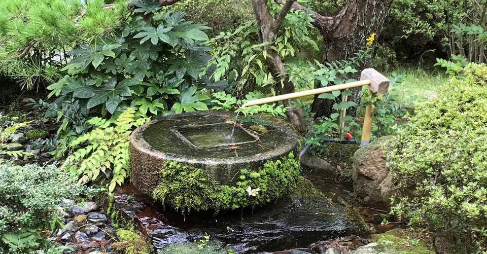 老舗旅館 べにや 火事のお見舞い 4 明るい未来の芽生えを見つける 井垣利英 シェリロゼ代表 人材教育家 マナー講師 Note