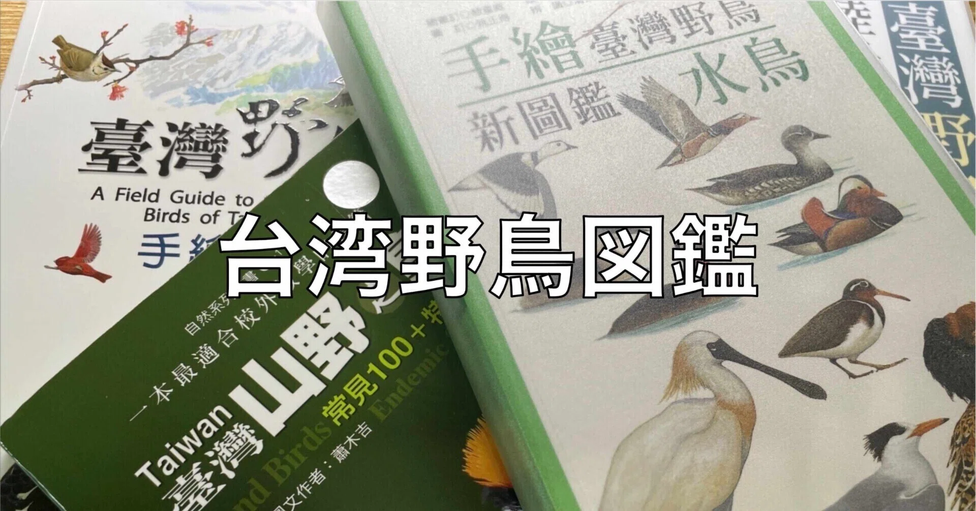 台湾野鳥の世界へようこそ！最新図鑑で探鳥の旅を極める？！｜Kaz