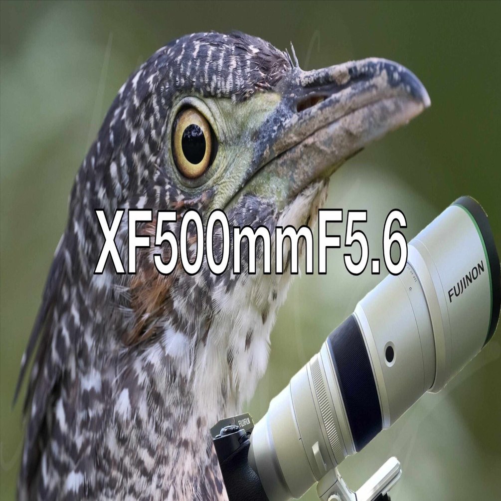 FUJIFILM XF500mmF5.6レビュー Xマウント待望の超望遠レンズ｜Kaz