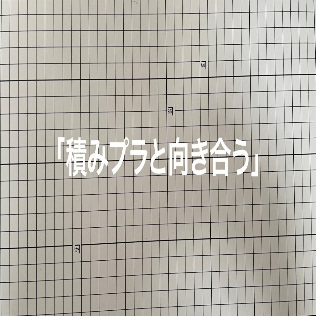 積みプラと向き合う｜tsumimoku