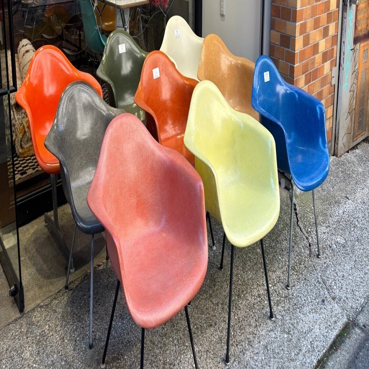 MID-Century MODERN 中目黒店へ行ってきました」｜松浦パグ