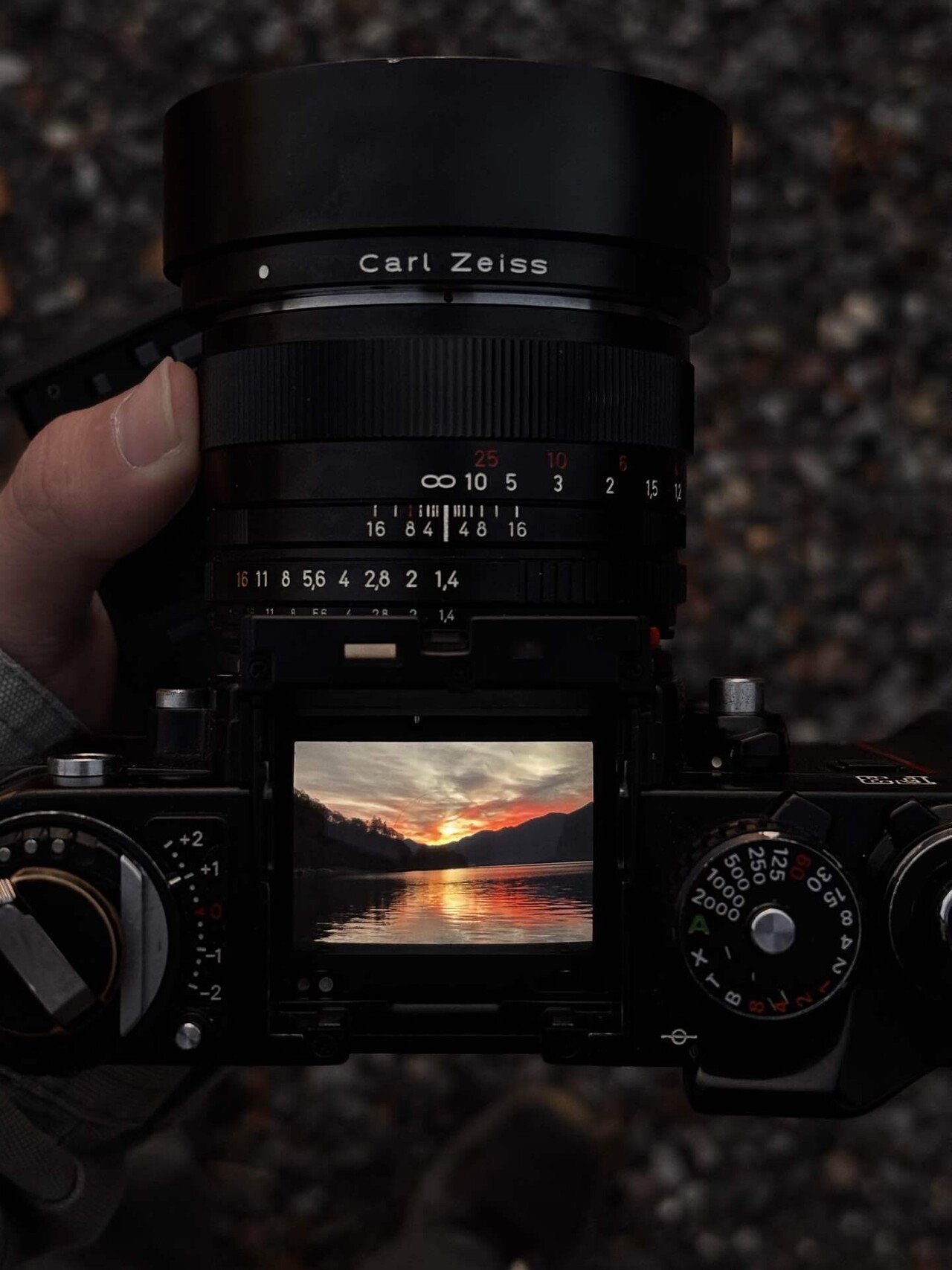 最高のフィルムカメラ｜ᴘᴀᴍᴇ̌ᴛ̌