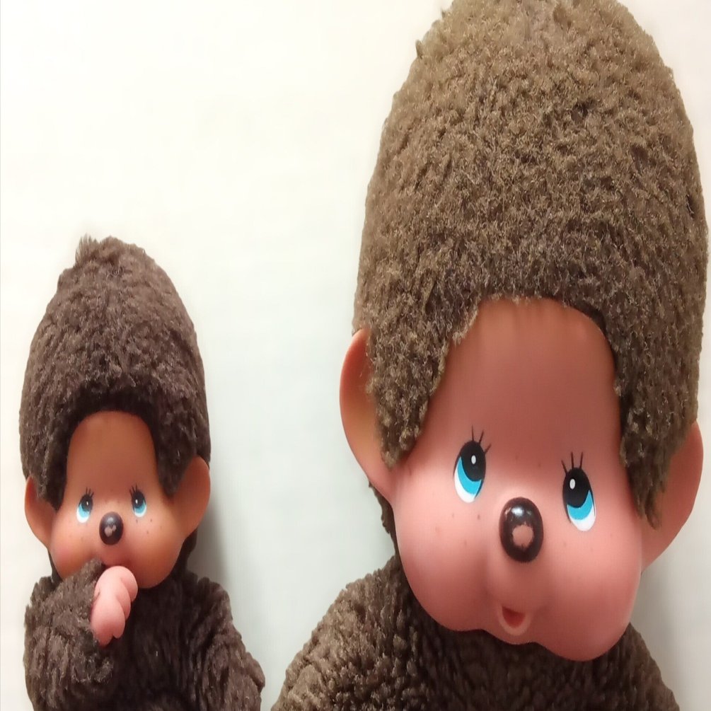 青い瞳のカワイコちゃん。フランス生まれのモンチッチ！｜あかりの