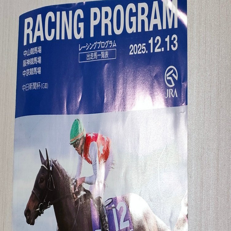 阪神競馬場訪問記①／2025年12月／馬券編｜三条寺