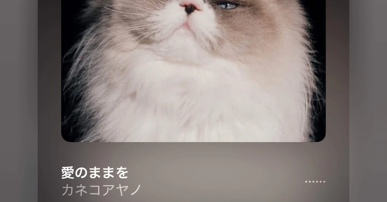 燦々、と生きる｜脱祭