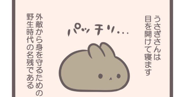 おもちみたいですが、うさぎです｜nao/うさぎ好きなイラスト作家