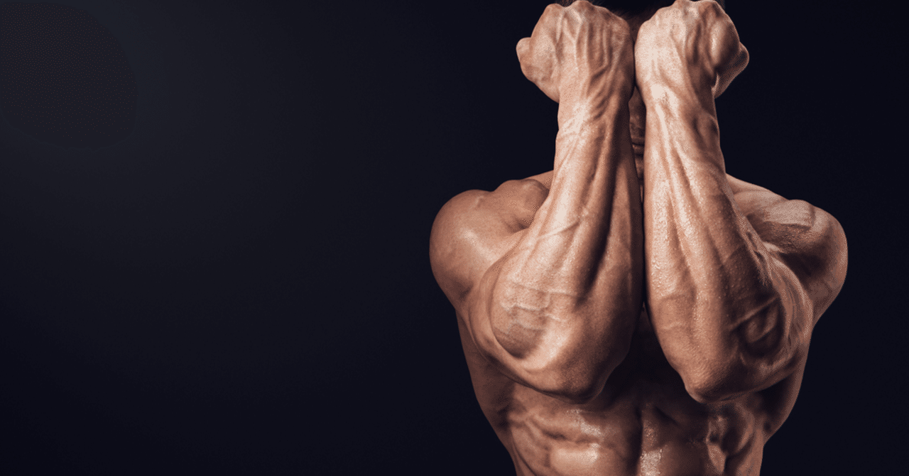 前腕筋のトレーニング しょー 医療系 筋トレ ランナーnote Note