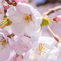 名言との対話 4月21日 ジョン メイナード ケインズ 経済学はモラル サイエンスであって自然科学ではない 経済学は内省と価値判断を用いるものだ 久恒 啓一 Note 名言との対話 4月21日 ジョン メイナード ケインズ 経済学はモラル サイエンスであって自然科学ではない 経済学は内省と価値判断を用いるものだ 久恒 啓一 Note
