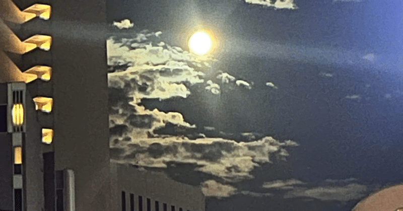 「キレたらゲームオーバー」──藤田晋氏が経営で最も重視する“忍耐力”という資質