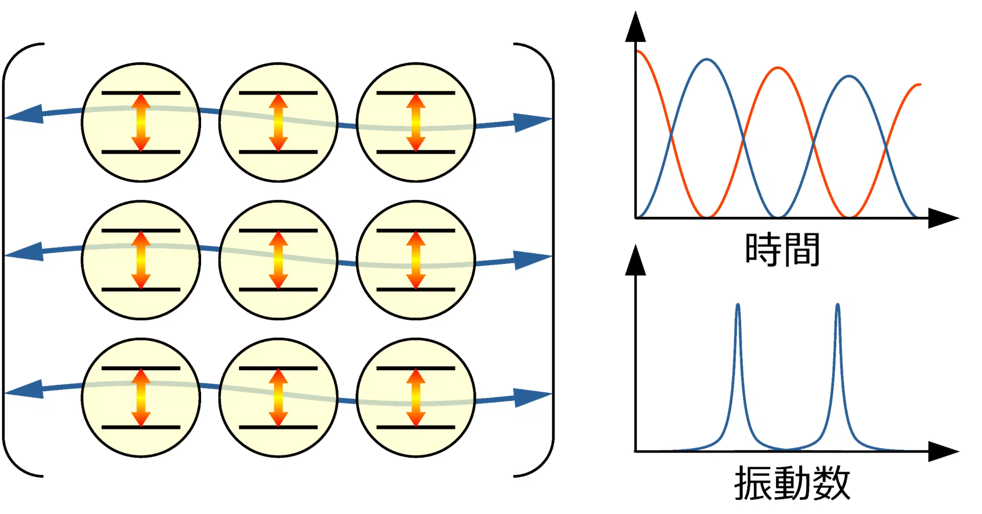Hands-on Practice 10: Vacuum Rabi oscillations in the Jaynes 