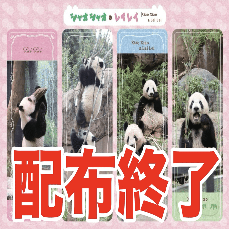 12月2日(火)に『あふれる笑顔！双子パンダシャオシャオ＆レイレイ