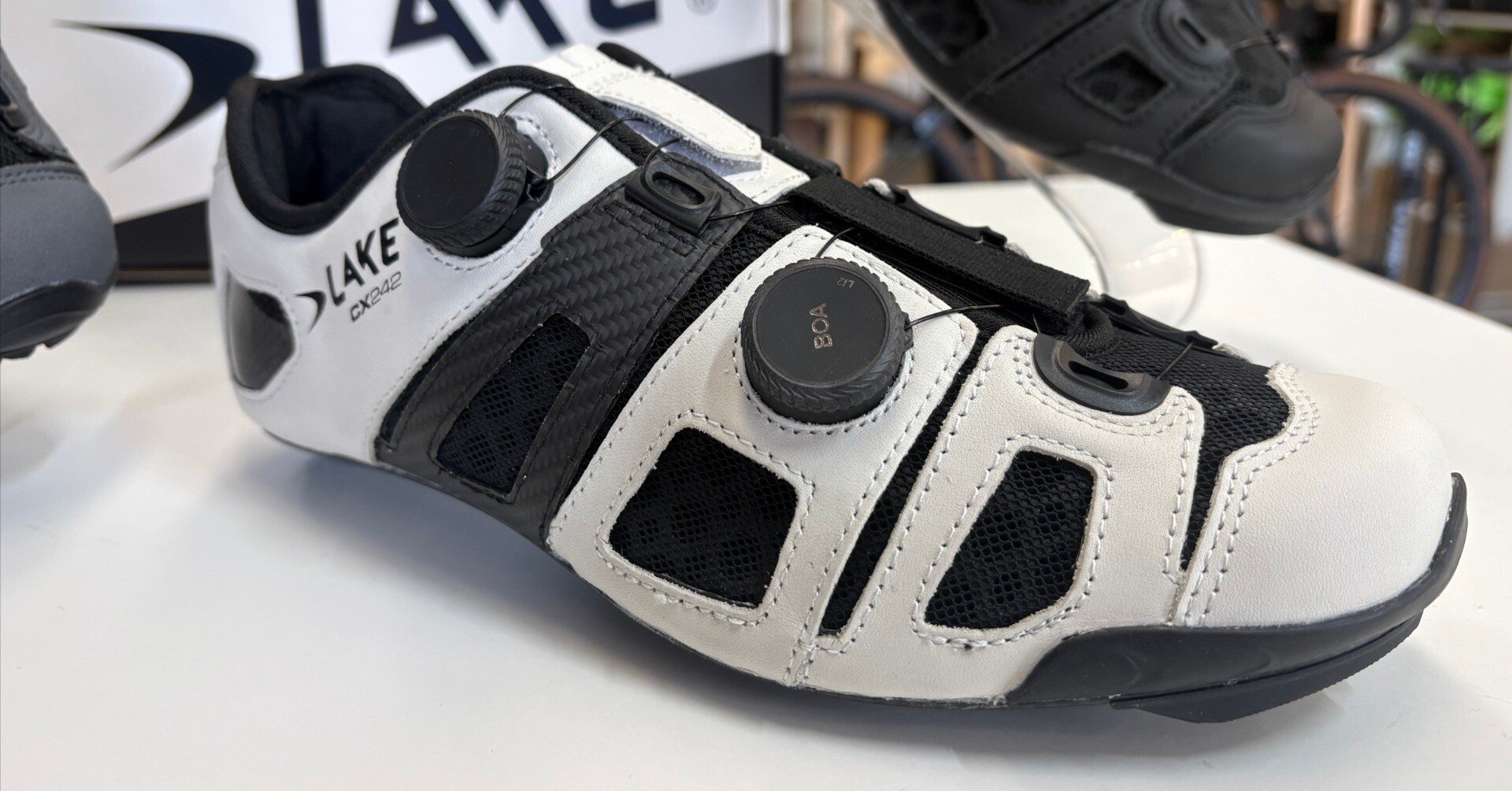 LAKE CX242 徹底解説｜外反母趾・幅広・甲高にも対応！6分割パネル×熱