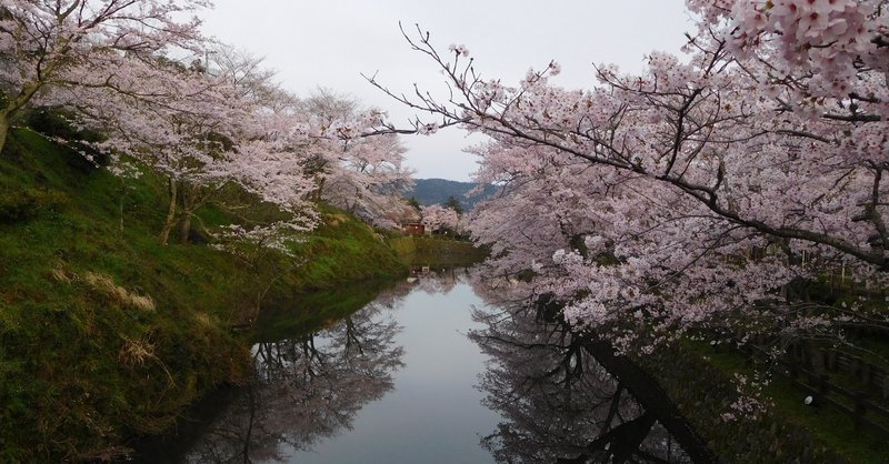 理系就活 研究概要書の作成 基本編 カルフ Ph D メーカー研究職 Note