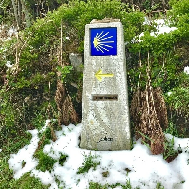 画像13