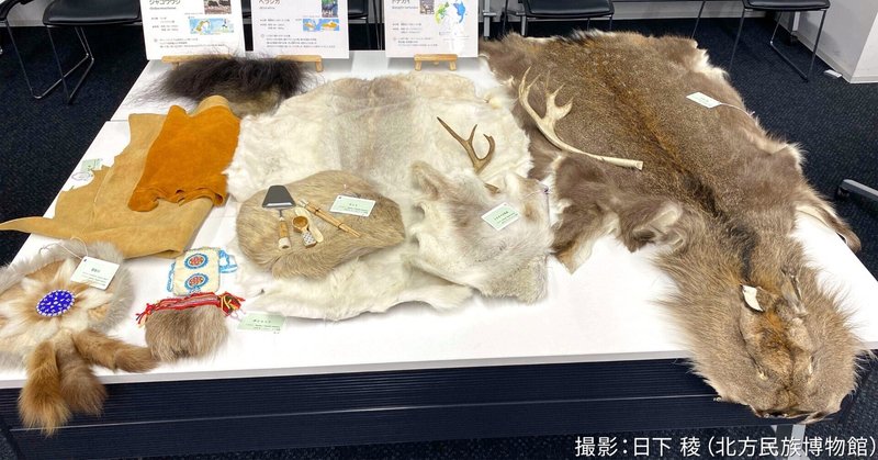 【イベント告知】動物の毛皮に触ってみよう－アイヌ民族と北方先住民族の毛皮利用を知る・触る－（北海道・白老）