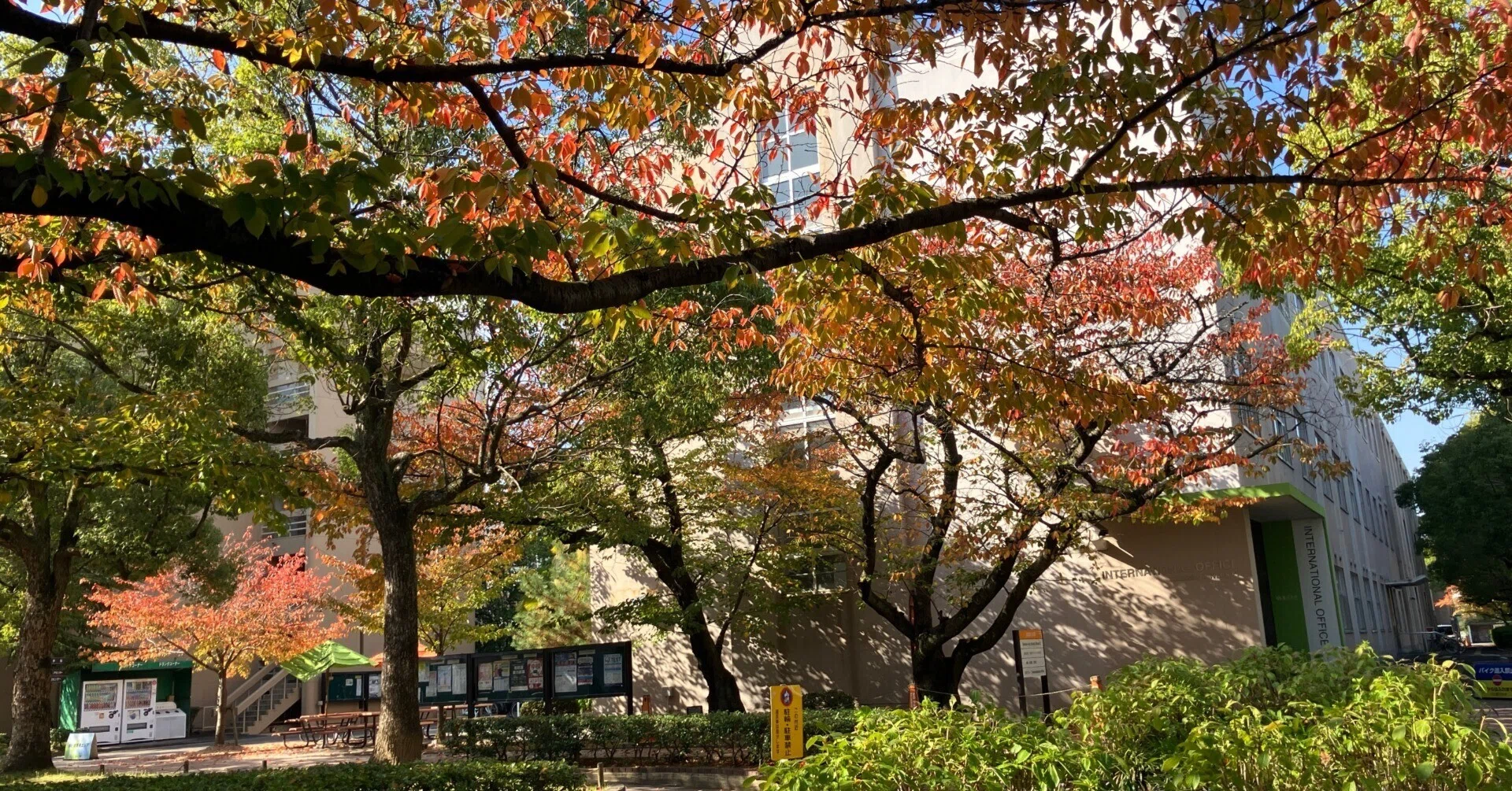経営行動科学学会（JAAS）第28回年次大会レポート（前編）：5組に優秀