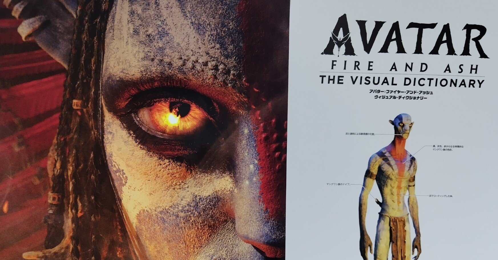 映画「アバター ファイヤー・アンド・アッシュ」感想｜icohealer