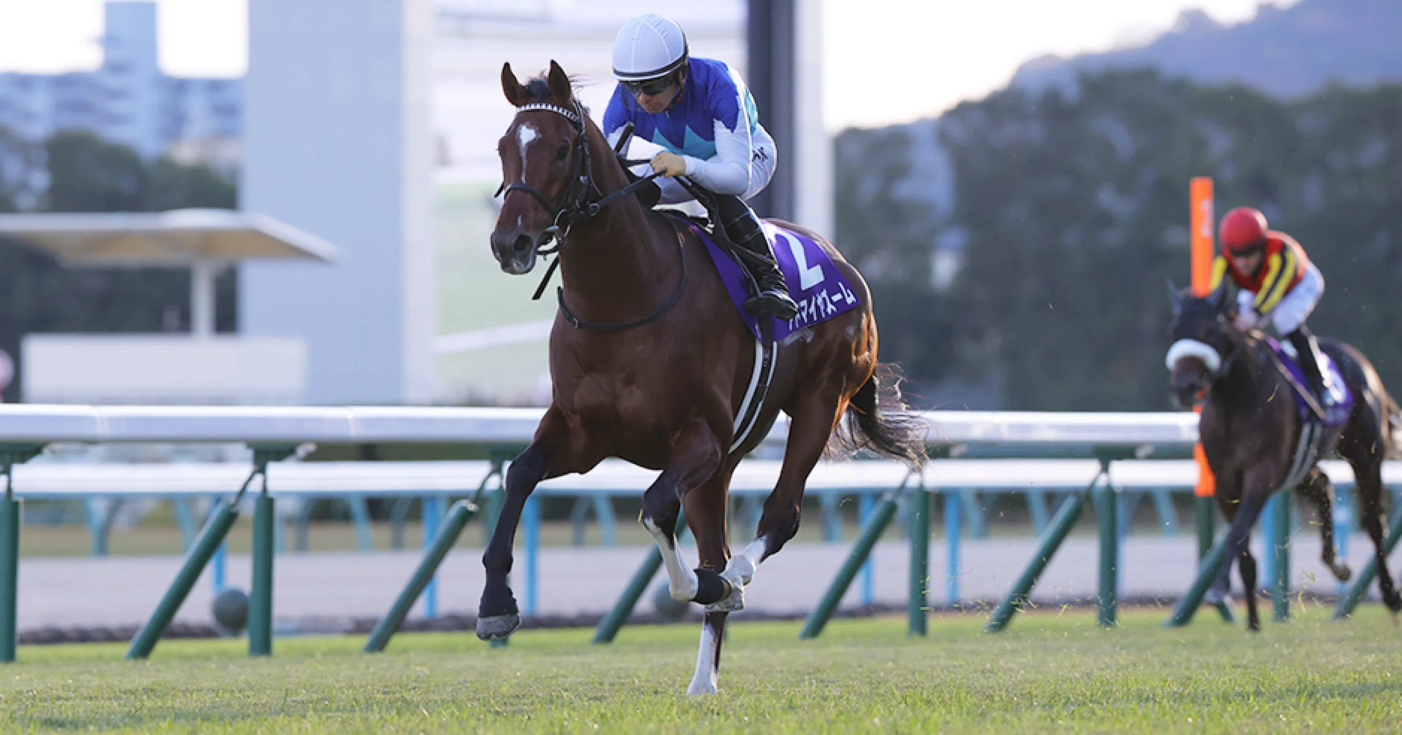 ゔ*す様 97年　朝日杯3歳ステークス　馬券 ゔ*す様 97年 朝日杯3歳ステークス 馬券 【公式通販】